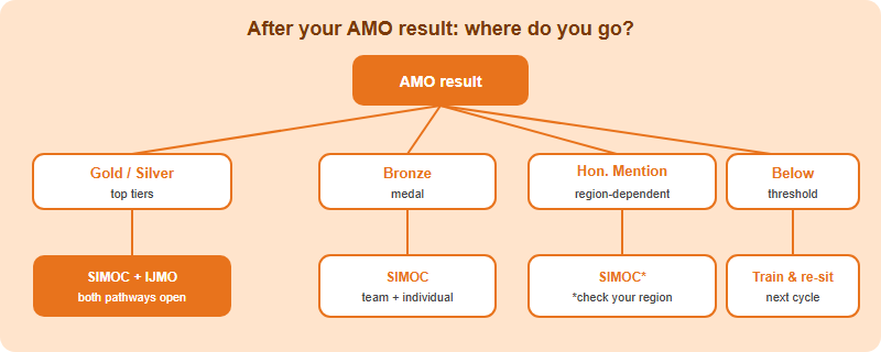 Decision tree: after AMO results, a Gold or Silver award routes a student to both SIMOC and IJMO; a Bronze award routes to SIMOC; an Honorable Mention may route to SIMOC depending on region; below the medal threshold means train and re-sit.